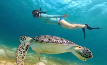 Excursie naar Abu Dabbab Bay – schildpadden en doejongs (zeekoeien) vanuit Hurghada