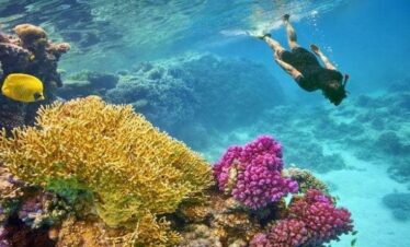 Wycieczka na snurkowanie do zatoki Sharm El-Luli